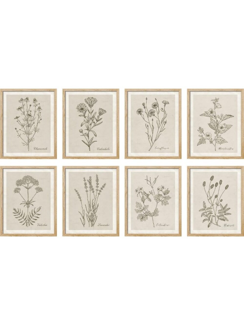 Framed Wildflower Botanical Art Set - Minimalist Vintage Decor for Home & Office